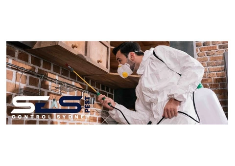 Bee Removal Sydney - 6/8