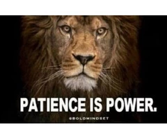 The Power of Patience from Life Martial Arts in Myaree