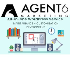 Agent 6 is the company that excels in word press web dev Sydney wide