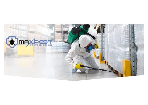 Rodent Control Hobart - 1/7