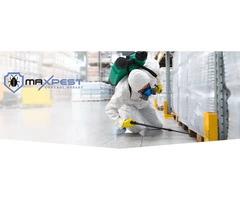 Rodent Control Hobart