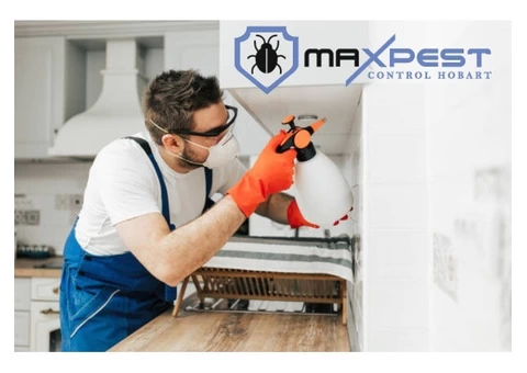 Rodent Control Hobart - 3/7