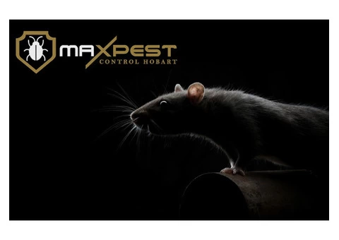 Rodent Control Hobart - 5/7