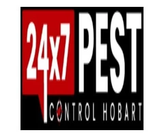 Possum Control Hobart