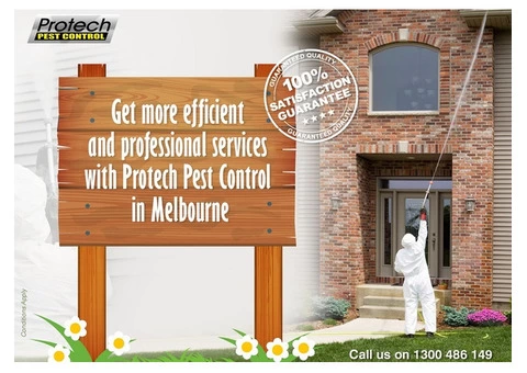 Professional Pest Control in Melbourne - On-time, Every time!