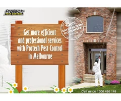 Professional Pest Control in Melbourne - On-time, Every time!