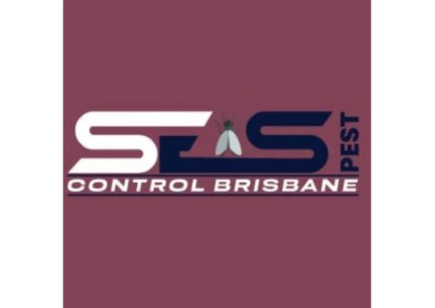 Spider Control Brisbane - 1/7