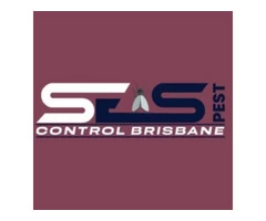 Spider Control Brisbane