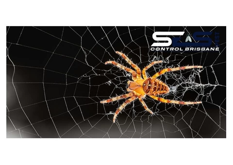 Spider Control Brisbane - 7/7