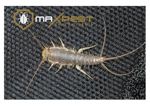 Pest Control Perth - 1/5