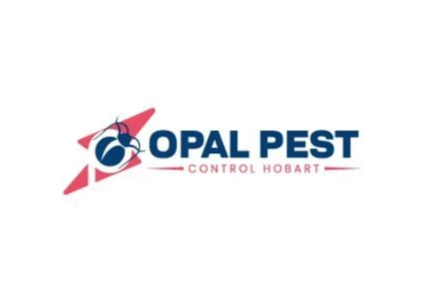 Pest Control Hobart - 1/7