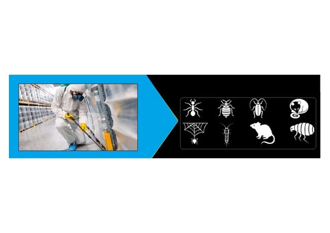 Pest Control Hobart - 2/7