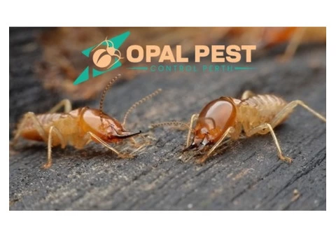 Pest Control Perth - 2/6