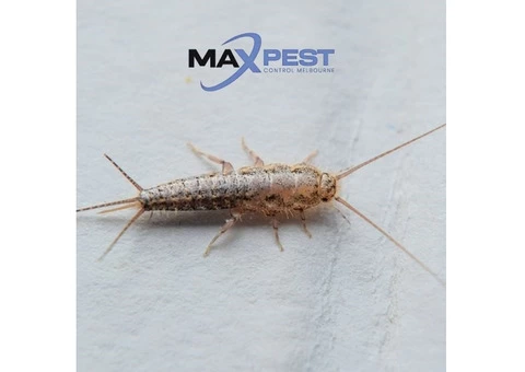 Pest Control Essendon - 3/6