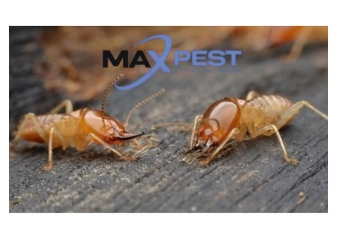 Pest Control Essendon - 5/6