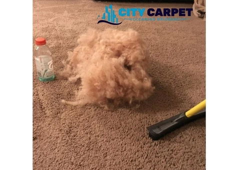City Carpet Cleaning Brisbane - 4/5