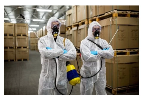 Affordable commercial pest control services to Cleaning atmosphere in Company Space