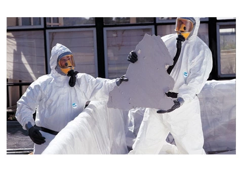 What are the health implications of domestic asbestos?