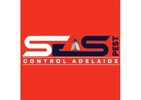 Spider Control Adelaide - 1/7