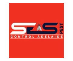Spider Control Adelaide