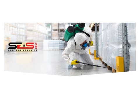 Spider Control Adelaide - 3/7