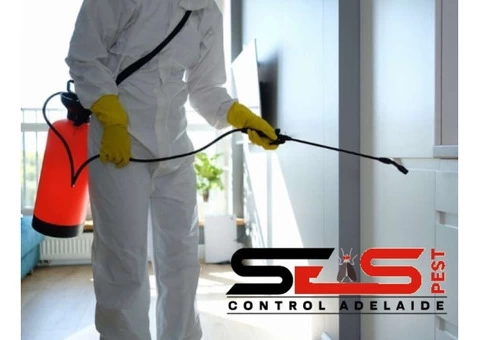 Spider Control Adelaide - 4/7