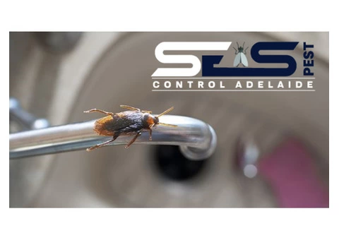 cockroach control Adelaide - 4/7