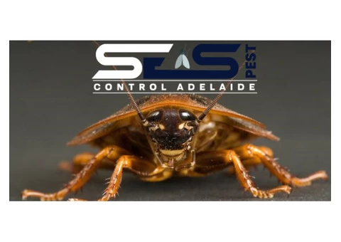 cockroach control Adelaide - 6/7