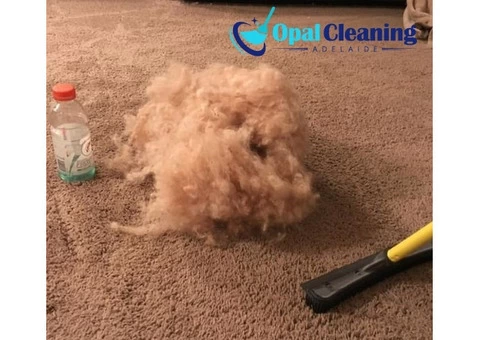carpet cleaning Adelaide - 2/4