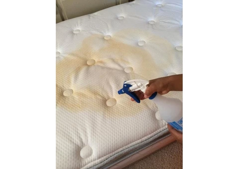 Mattress Cleaning Sydney - 1/4