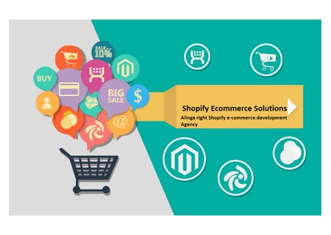 How our Ecommerce website developer can help you