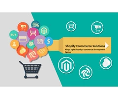How our Ecommerce website developer can help you