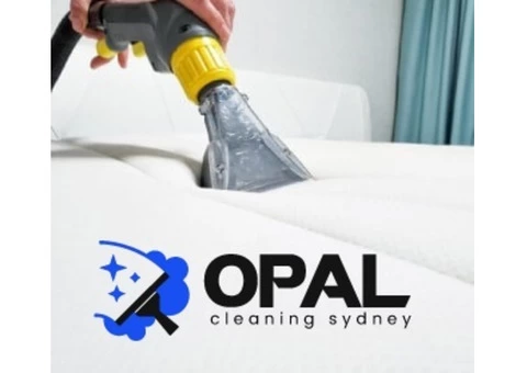 Carpet Cleaning Sydney - 5/8