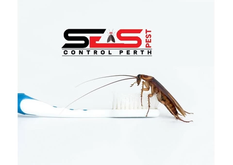 Cockroach Control Perth - 1/6