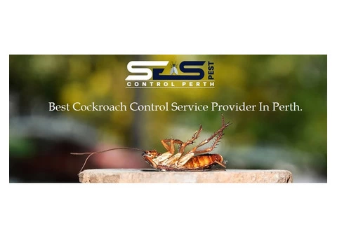 Cockroach Control Perth - 4/6