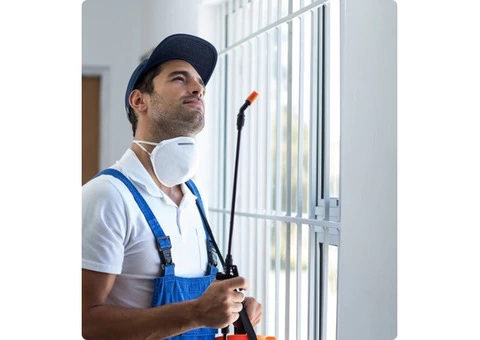 Silverfish Control Company in Hobart