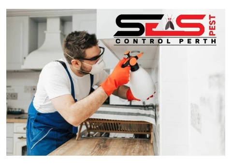 Bee and Wasp Removal Perth - 6/7