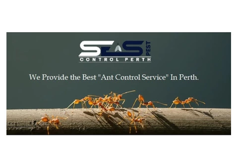 Ant Control Perth - 5/8