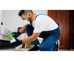 Silverfish Control Perth