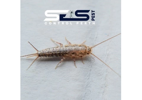 Silverfish Control Perth - 6/6