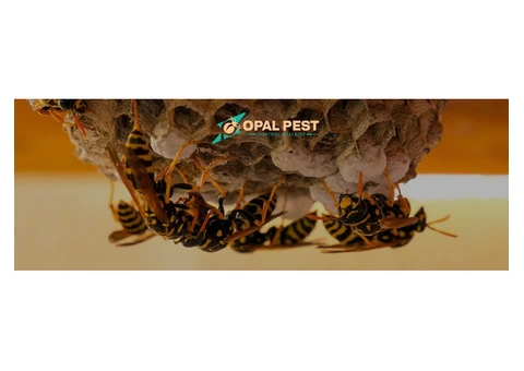 Pest Control Adelaide - 3/7