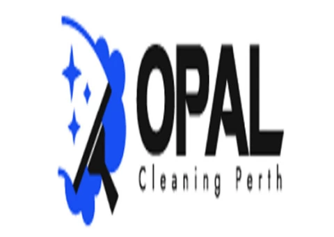 Rug Cleaning Perth