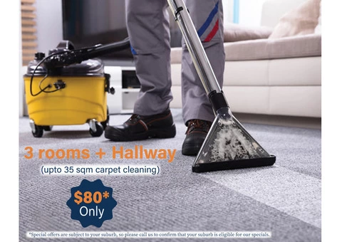 Carpet cleaning services in Bayswater