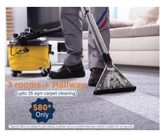 Carpet cleaning services in Bayswater