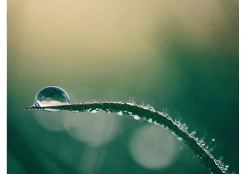 True Blue Water Exchange, the leading water brokers Adelaide offers custom consultations - 3/3