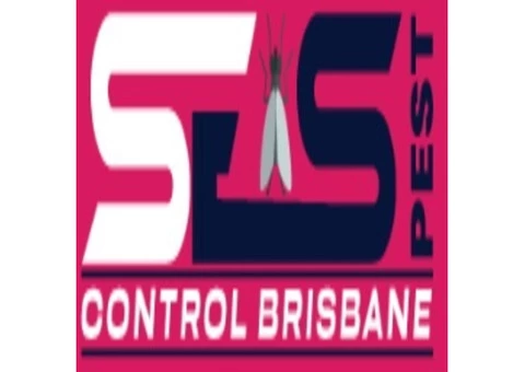 Possum Control Brisbane