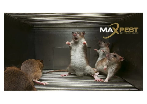 Pest Control Werribee - 6/6