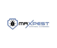 Pest Control Canberra