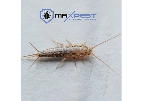 Pest Control Canberra - 3/8