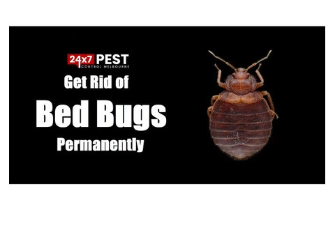 Pest Control in Melbourne - 1/5